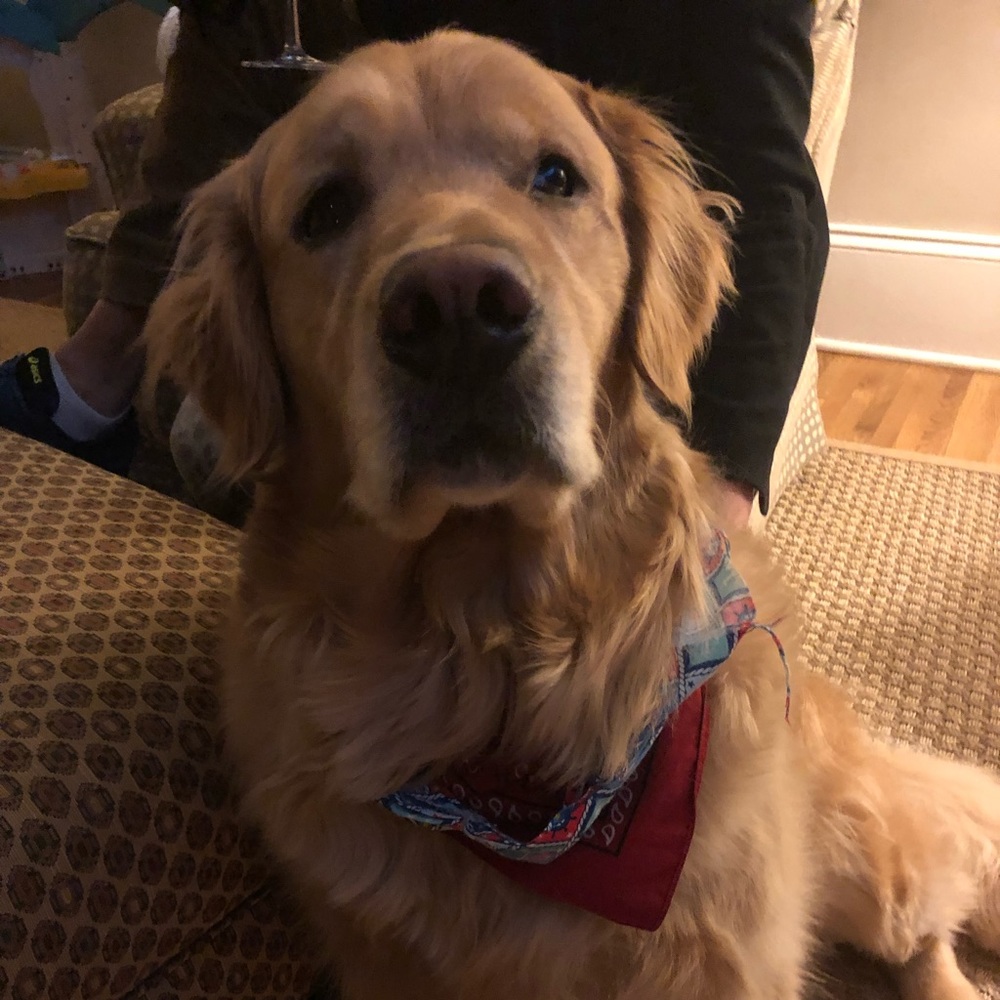 Meet your Posher, Laura